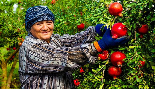 Köyümde Yaşamak İçin Bir Sürü Nedenim Var Projesi